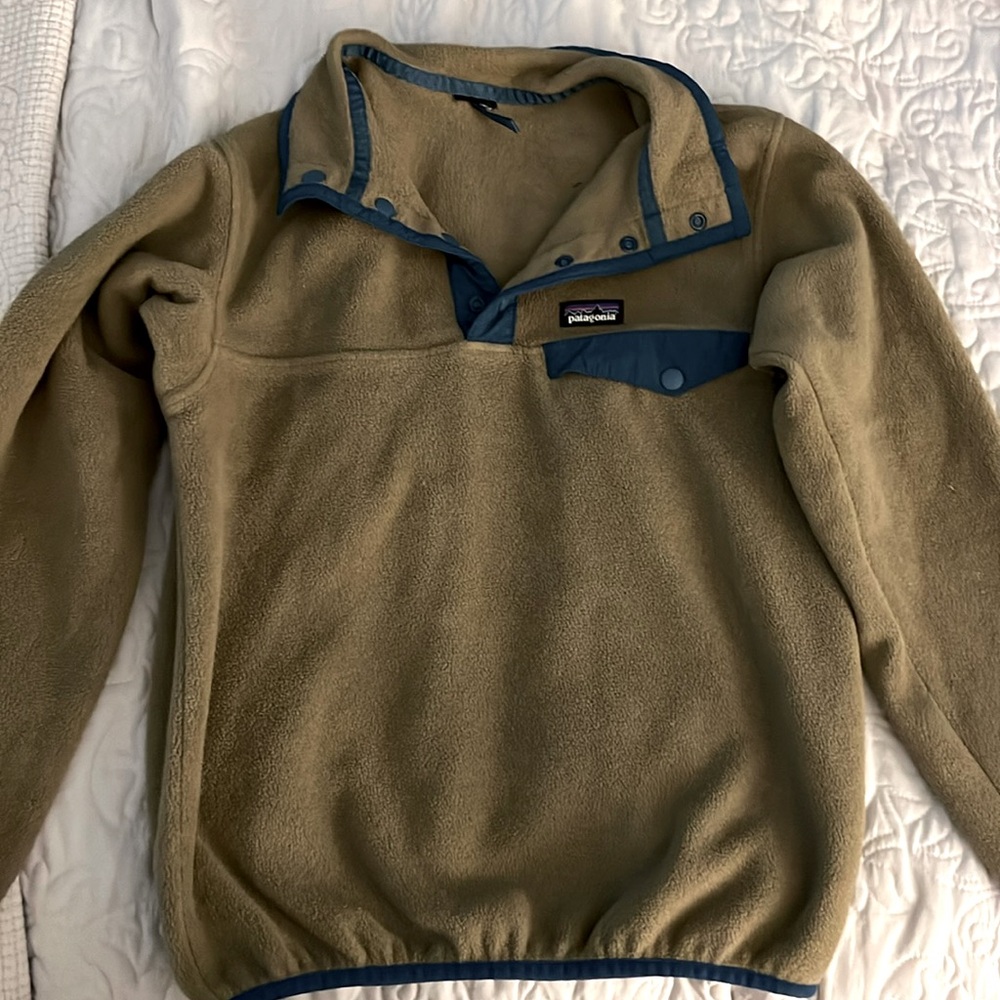 Brown and teal Lg Patagonia pullover